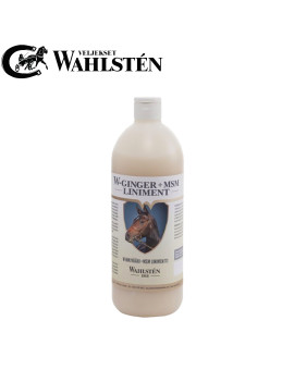 W-GINGER+MSM LINIMENT