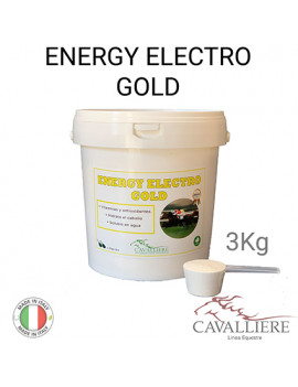VIT. ENERGY ELECTRO GOLD 3KG