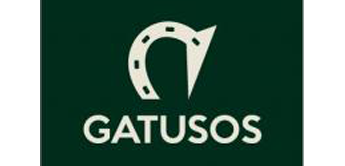 Gatusos